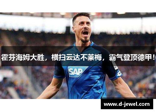 霍芬海姆大胜，横扫云达不莱梅，霸气登顶德甲！