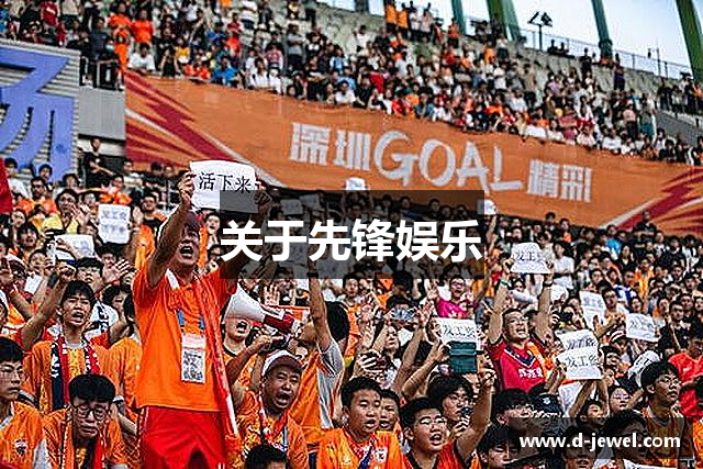 关于先锋娱乐